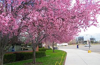 博伊西州立大学